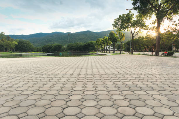 Best Driveway Resurfacing Pavers  in Anthony, NM