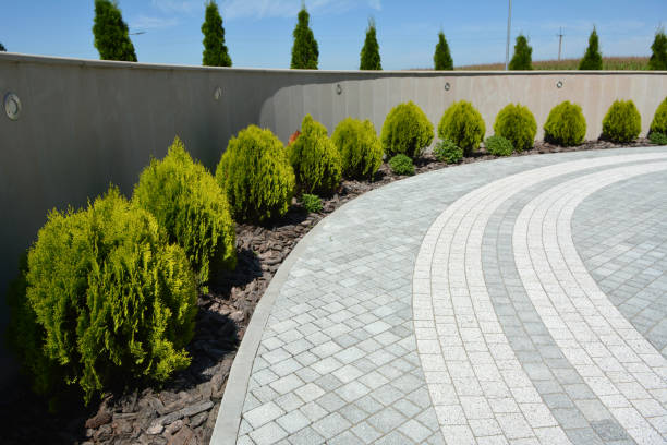 Best Cobblestone Driveway Pavers  in Anthony, NM